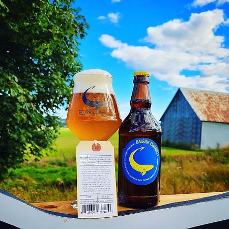 La Baleine Endiablee Microbrasserie Riviere-Ouelle Eksteriør billede